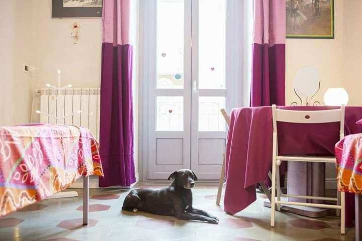Casa Dani&Swing Bed&Books Frühstückspension